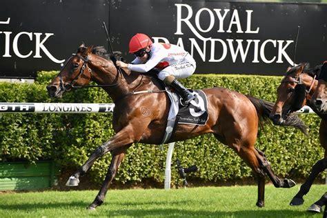 horse racing betting syndicates|Horse Syndications by Dynamic Syndications.